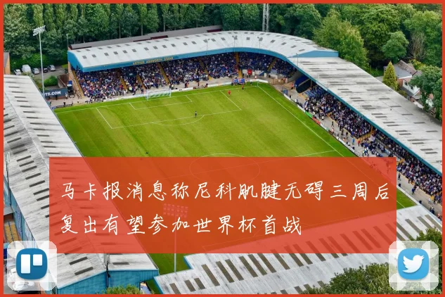 马卡报消息称尼科肌腱无碍三周后复出有望参加世界杯首战